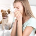 Why MERV 8 HVAC Air Filters Are The Best Option for Pet Owners and Allergy Sufferers