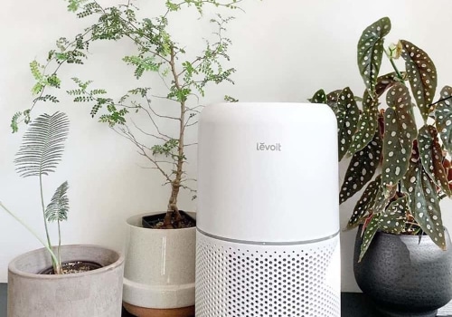 Are Air Purifiers Really Worth It?